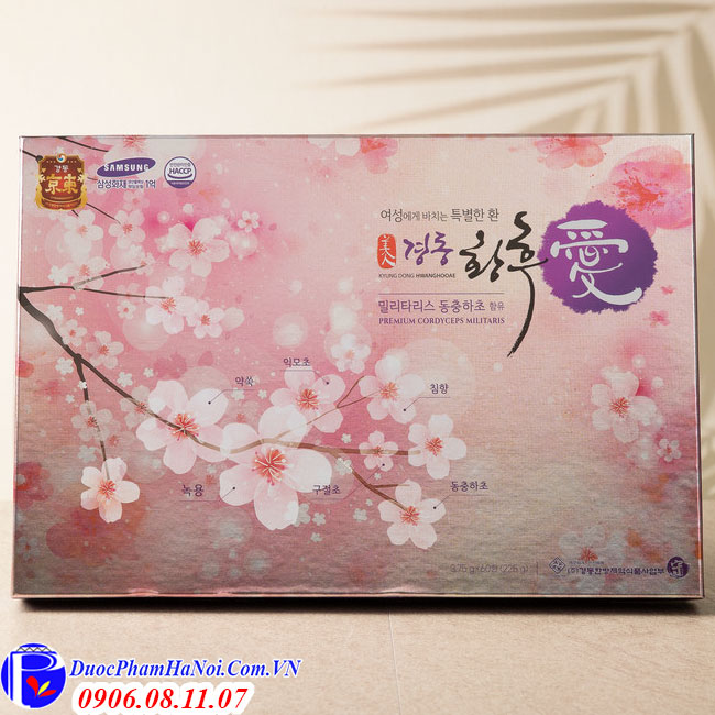 Kyungdong hwanghooae premium cordyceps militaris Hàn Quốc