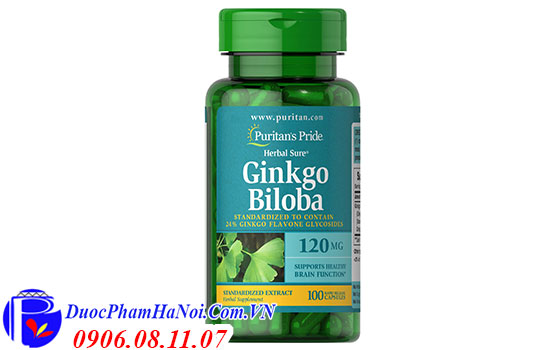 Viên Uống Ginkgo Biloba Puritan's Pride 120mG Của Mỹ