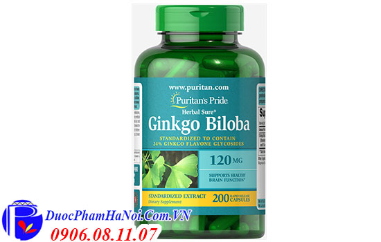 Viên Uống Ginkgo Biloba Puritan's Pride 120mG Của Mỹ
