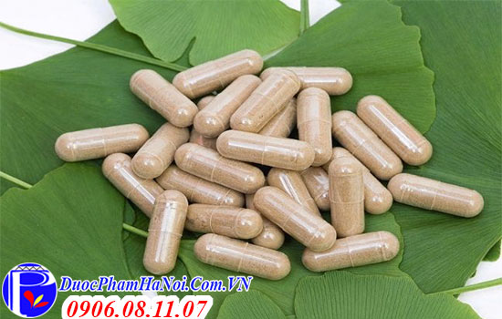 Viên Uống Ginkgo Biloba Puritan's Pride 120mG Của Mỹ