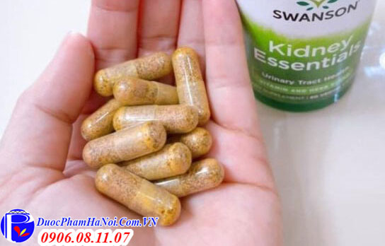 Bổ Thận Kidney Essentials Swanson Chính Hãng Của Mỹ Giá Tốt