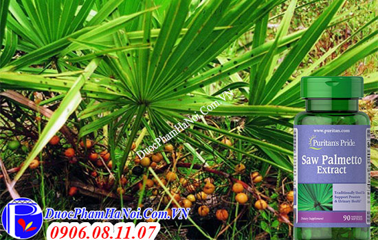 Saw Palmetto Extract
