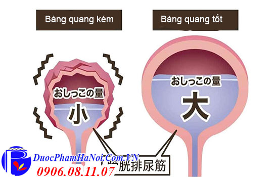 Thuốc trị tiểu đêm Nhật Bản Yurinaru B 120 viên