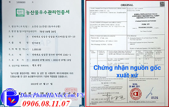 nấm linh chi Daedong