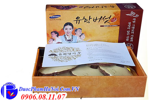 Nấm linh chi đỏ Hàn Quốc loại 1