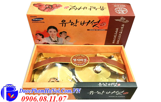 Nấm linh chi Hàn Quốc 3 cô gái hộp 1kg