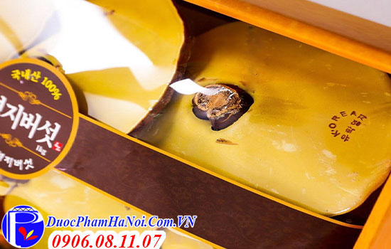 Nấm linh chi Hàn Quốc 3 cô gái hộp 1kg