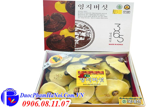 Nấm linh chi Hàn Quốc 365