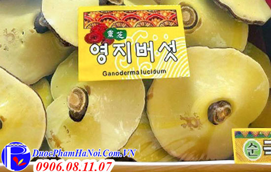 Nấm linh chi Hàn Quốc 365