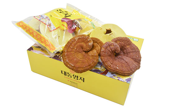 Nấm linh chi Hàn Quốc