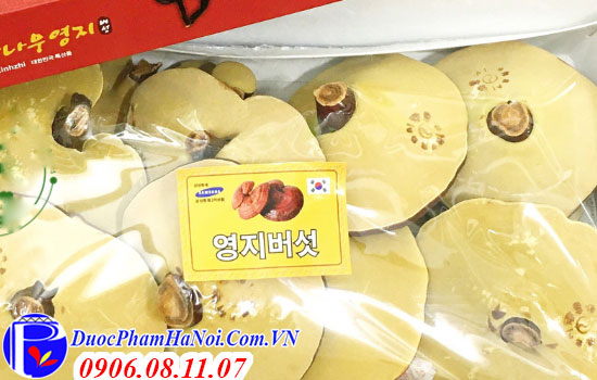 Nấm Linh Chi Hàn Quốc Hộp Đỏ Korea Linhzhi 1000