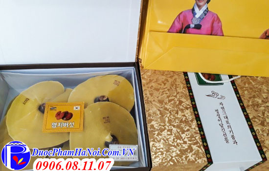 Nấm linh chi hộp kim tuyến Hàn Quốc 1kg