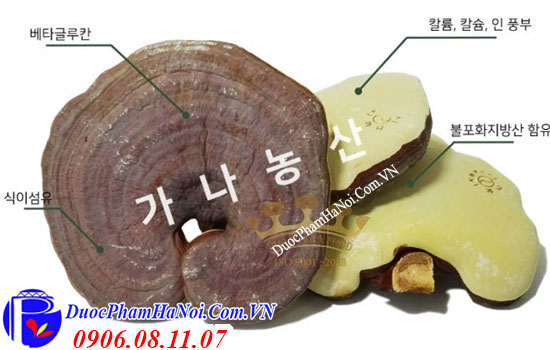 Nấm linh chi Kana NongSan Hàn Quốc