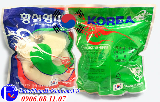 Nấm linh chi Lingzhi Mushroom