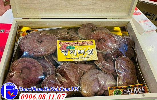 Nấm linh chi núi 365 Hàn Quốc hộp gỗ