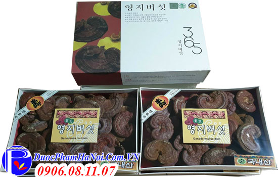 Nấm linh chi núi Hàn Quốc 365