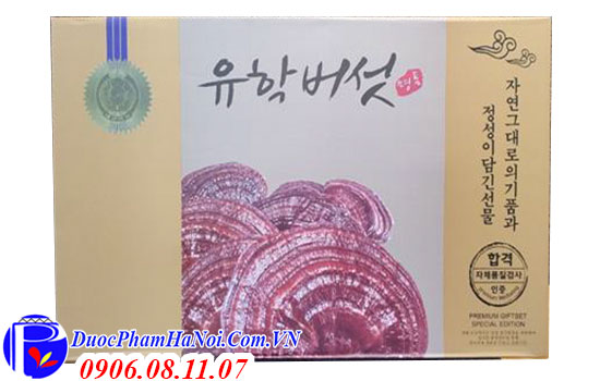 Nấm linh chi Premium Giftset Hàn Quốc