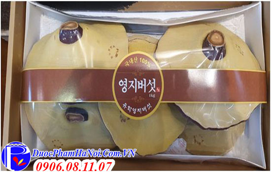 Nấm linh chi Premium Giftset Hàn Quốc