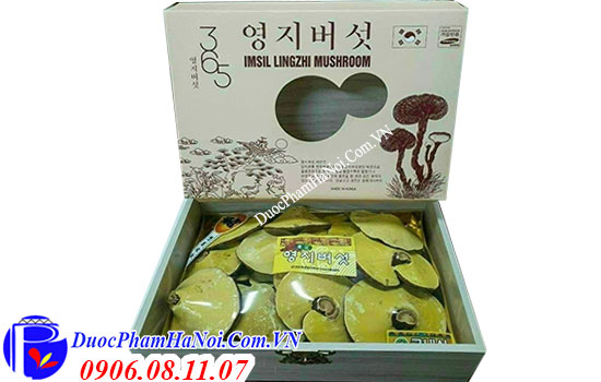 Nấm linh chi vàng Hàn Quốc 365 hộp gỗ