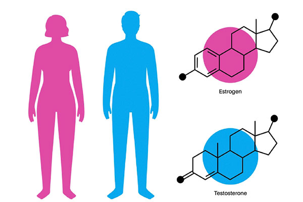 Nội Tiết Và Sinh Lý