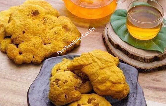 Nấm Thượng Hoàng