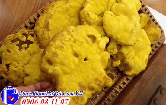 Nấm Thượng Hoàng Tự Nhiên Khay Mây 500G Chính Hãng Hàn Quốc