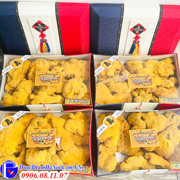 Nấm Thượng Hoàng Vàng Hàn Quốc Hộp Nhung 500Gr Giá Tốt