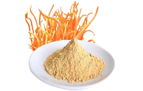 Bột Đông Trùng Hạ Thảo