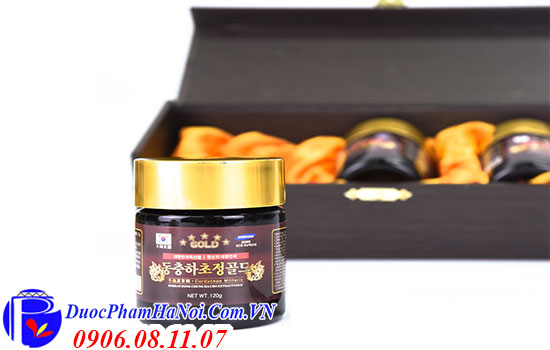 Cao Đông Trùng Hạ Thảo