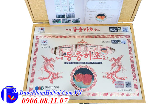 Đông trùng hạ thảo Korean Silkworm Dong Chung Ha Cho Gold
