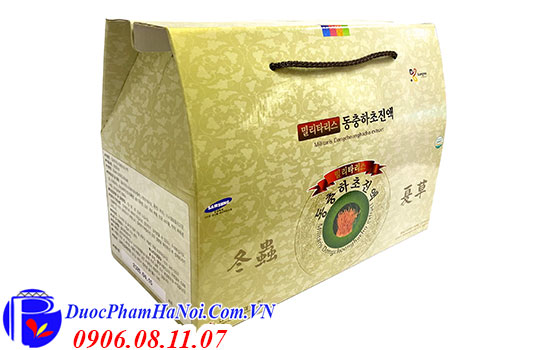 Đông trùng hạ thảo Hàn Quốc hộp 30 gói Militaris Dongchoonghacho Extract