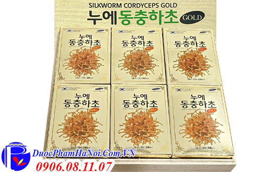 Đông trùng hạ thảo Silkworm Cordyceps Gold Hàn Quốc