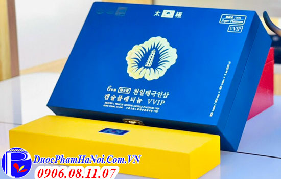 Thiên sâm đông trùng hạ thảo 900 viên