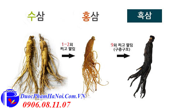 hắc sâm củ khô Chamhansam Hàn Quốc