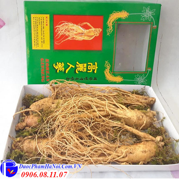 Nhân sâm tươi Hàn Quốc 