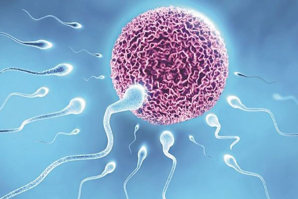 Hỗ trợ sinh sản cho nam