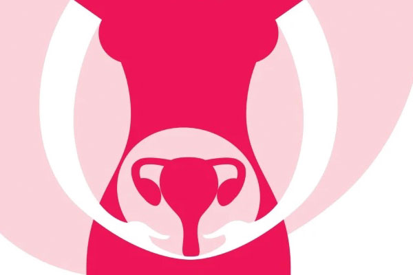 Hỗ trợ sinh sản cho nữ