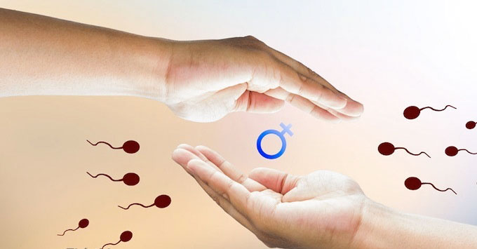 Hỗ Trợ Sinh Sản