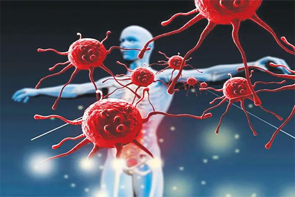 Hỗ Trợ Điều Trị Ung Thư