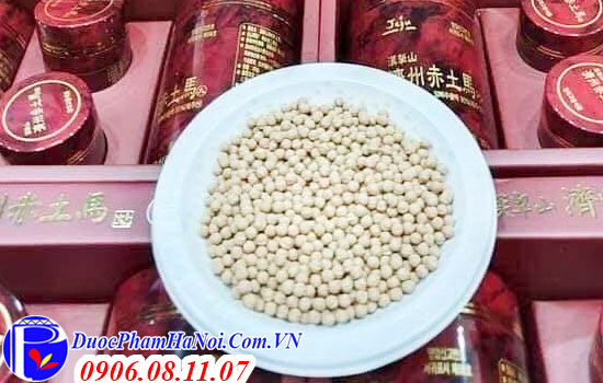 Cao xương ngựa đảo jeju Hàn Quốc