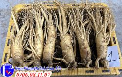 Sâm Tươi Hàn Quốc Loại 6 Củ 1kG Chính Vụ Giá Tốt