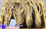 Nhân Sâm Tươi Hàn Quốc 4 Củ 1kG Chính Hãng Giá Tốt